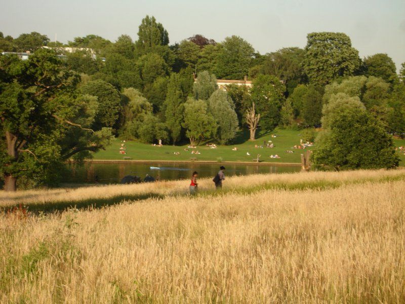 File:Hampsteadheath1.jpg