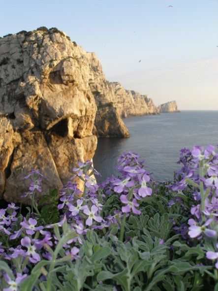 File:Isola Piana a Primavera.jpg