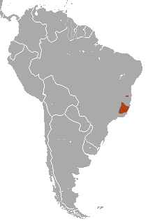 File:Northern Muriqui area.png