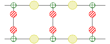 File:Nucleic acid.png