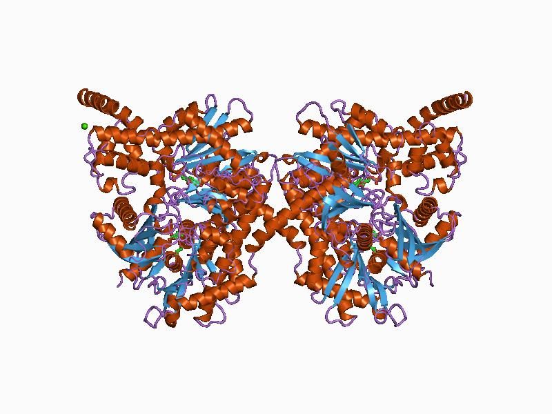 File:PDB 1bg3 EBI.jpg