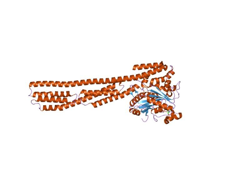 File:PDB 1f5n EBI.jpg