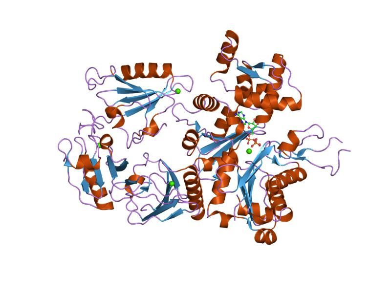 File:PDB 1h1v EBI.jpg