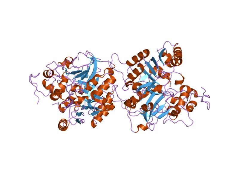 File:PDB 1nop EBI.jpg