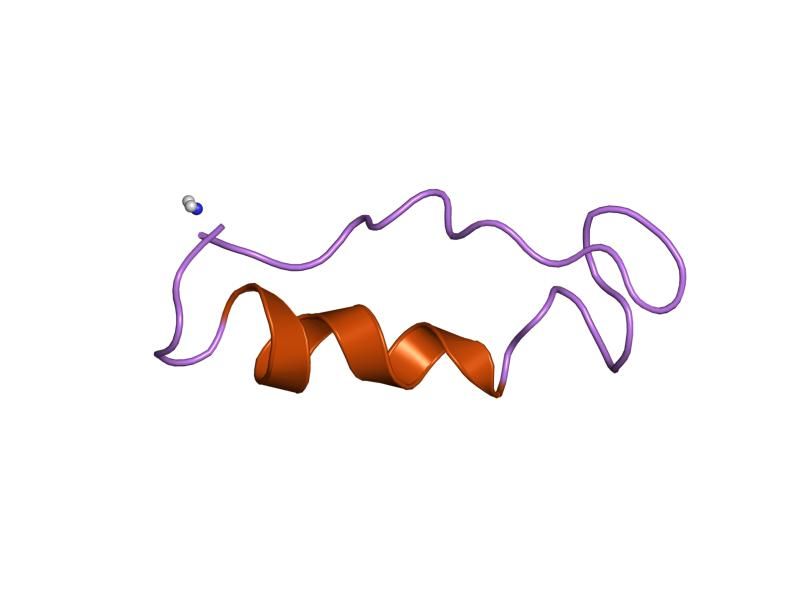 File:PDB 1qbf EBI.jpg