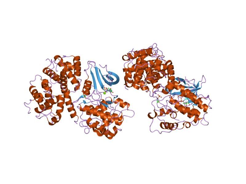 File:PDB 2cci EBI.jpg