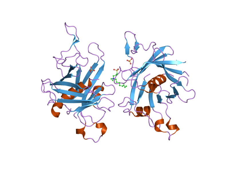 File:PDB 2fim EBI.png