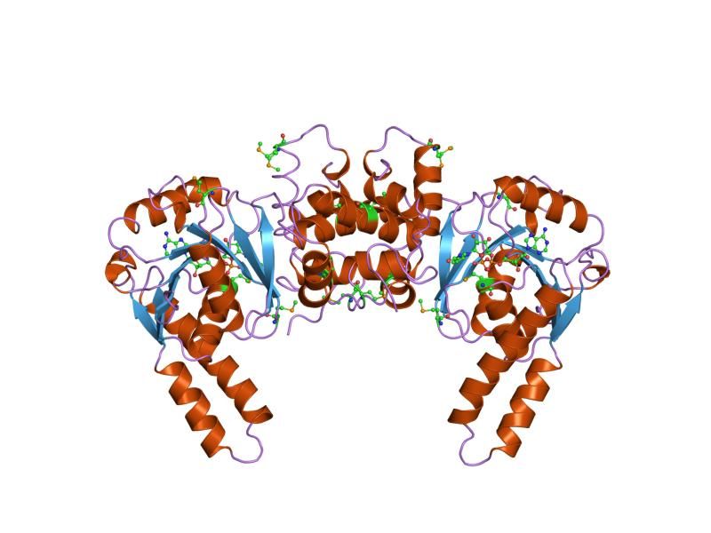 File:PDB 2hdh EBI.jpg