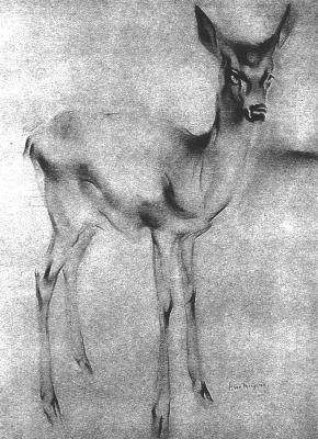 File:Princess Juliana's deer.jpg