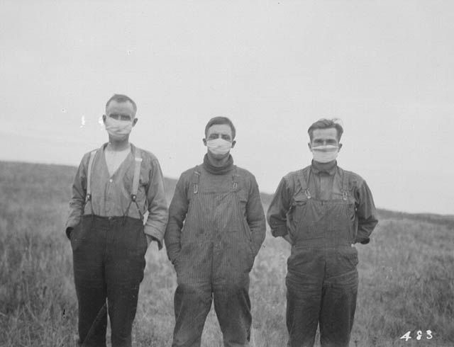 File:Sp-flu-alberta-field.jpg