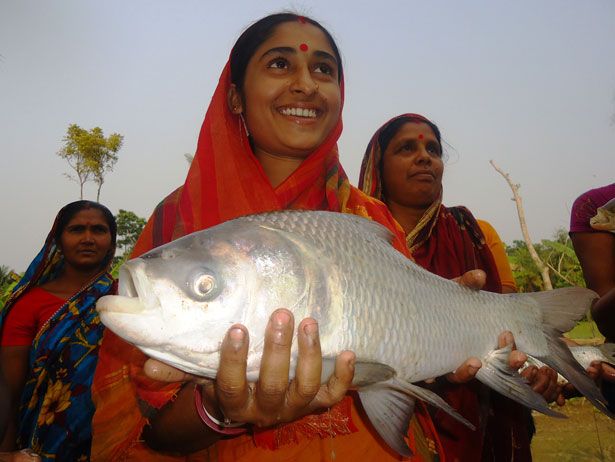 File:Women operated aquaculture.jpg