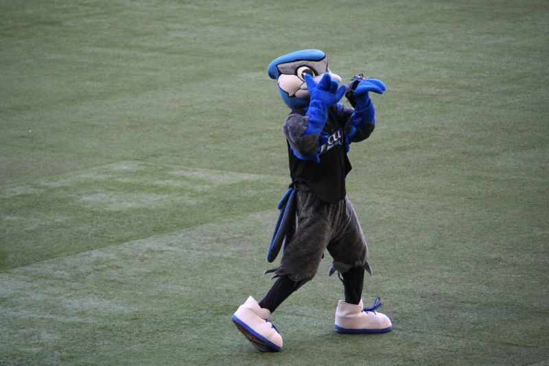 File:Blue Jays Mascot.jpg