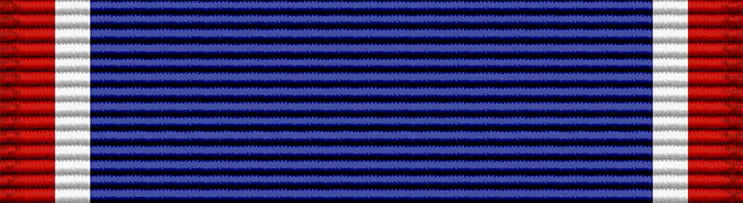 File:DSC ribbon.png