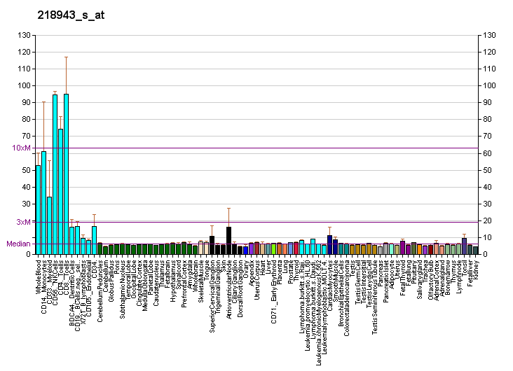 File:PBB GE DDX58 218943 s at fs.png