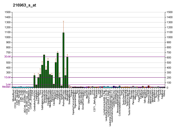 File:PBB GE GAP43 216963 s at fs.png