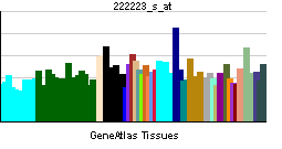 File:PBB GE IL1F5 222223 s at tn.png