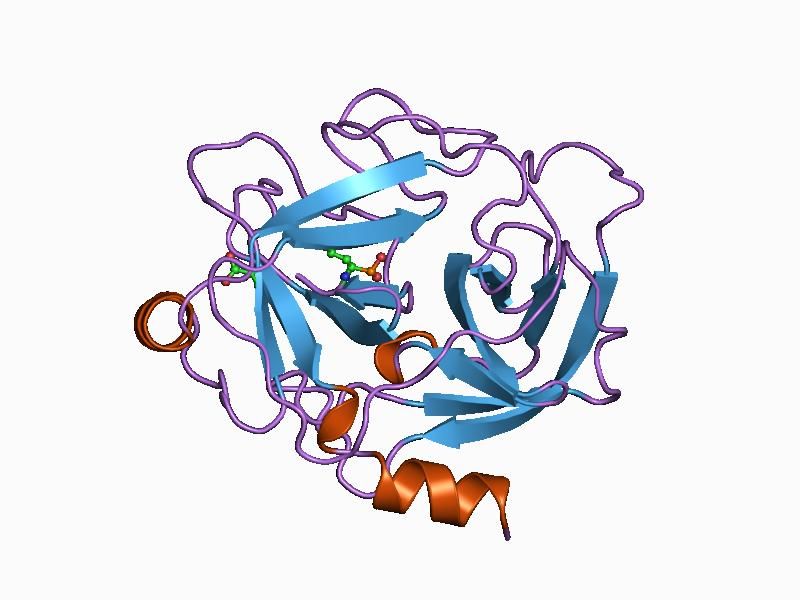 File:PDB 1au8 EBI.jpg