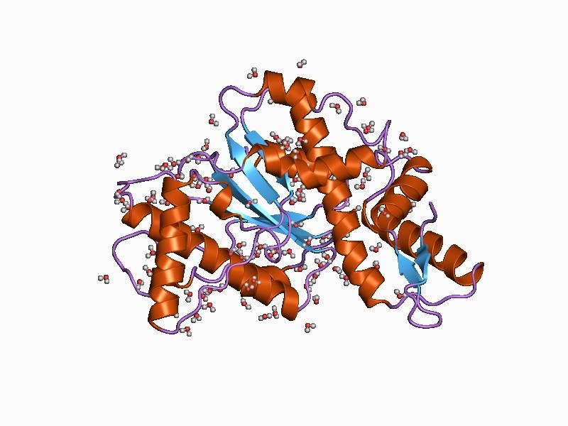 File:PDB 1cfr EBI.jpg