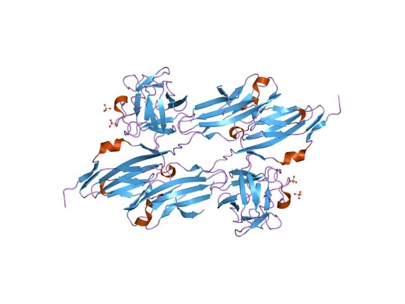 File:PDB 1evt EBI.jpg