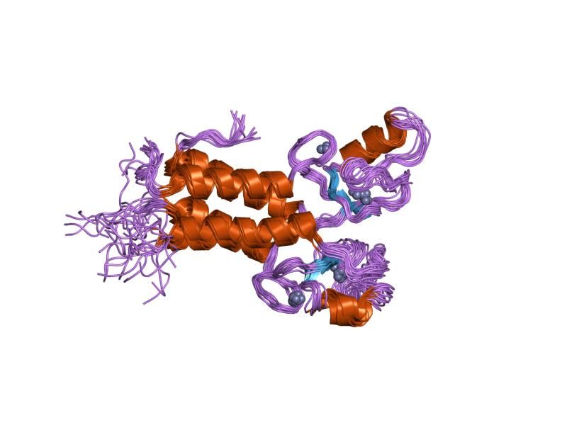 File:PDB 1jm7 EBI.jpg