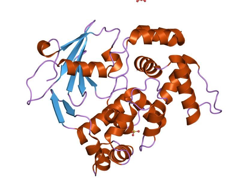 File:PDB 1ko9 EBI.jpg