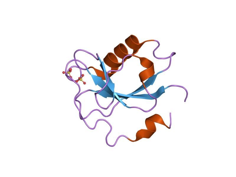 File:PDB 1mg4 EBI.jpg