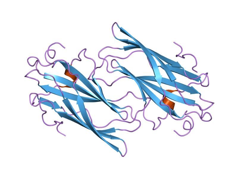 File:PDB 1om9 EBI.jpg