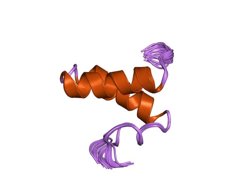 File:PDB 1pv0 EBI.jpg