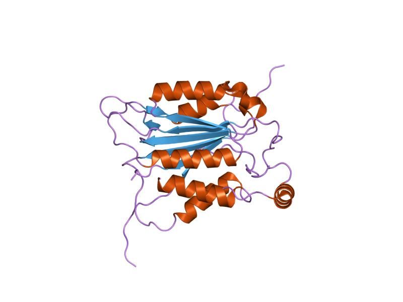 File:PDB 1sc4 EBI.jpg