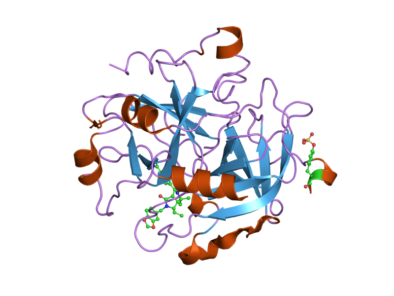 File:PDB 1ypj EBI.png