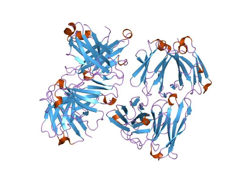 File:PDB 8fab EBI.jpg