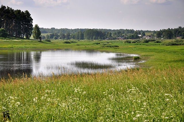 File:Pushgory landscape.JPG