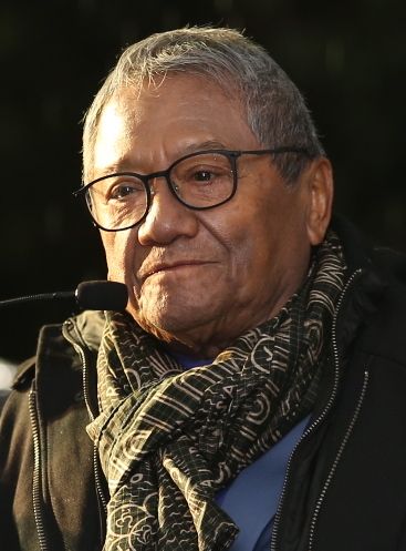 File:Bustos de Armando Manzanero (cropped).jpg