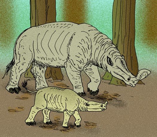 File:Embolotherium grangeri reconstruction.jpg