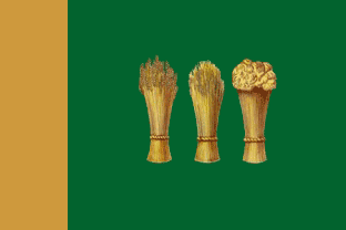 File:Flag of Penza.png