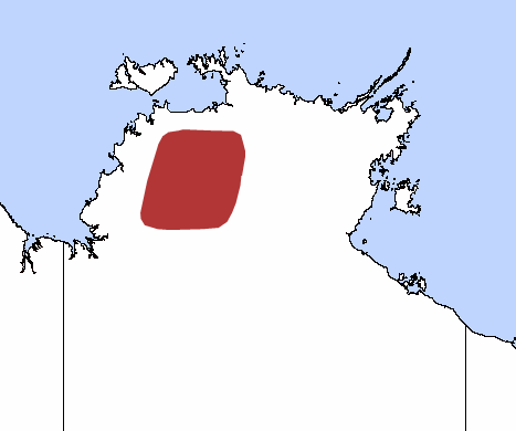 File:Kakadu Dunnart.png