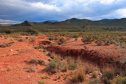 File:Karoo.jpg