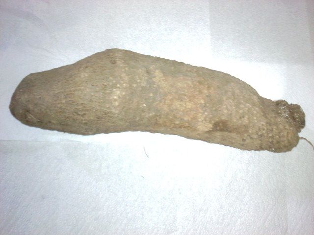 File:Own yam.jpg