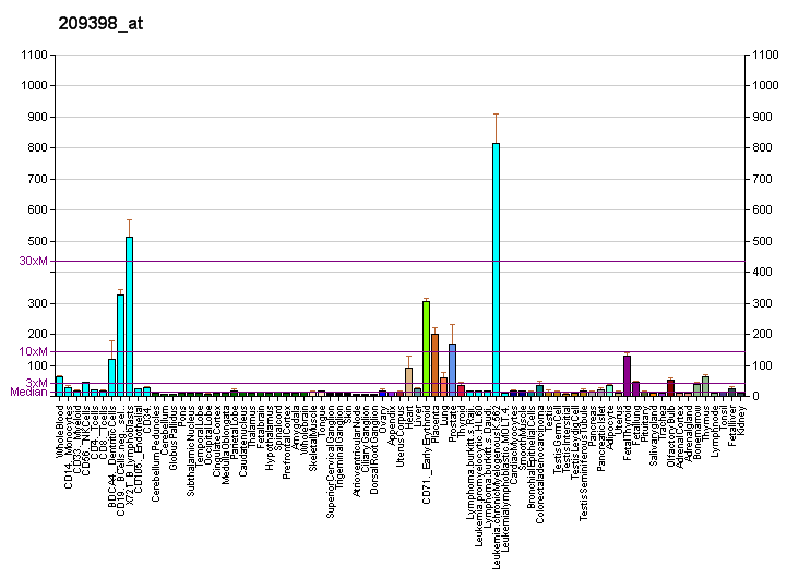 File:PBB GE HIST1H1C 209398 at fs.png