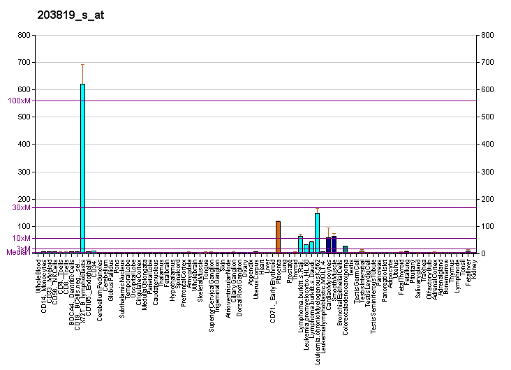 File:PBB GE IGF2BP3 203819 s at fs.png