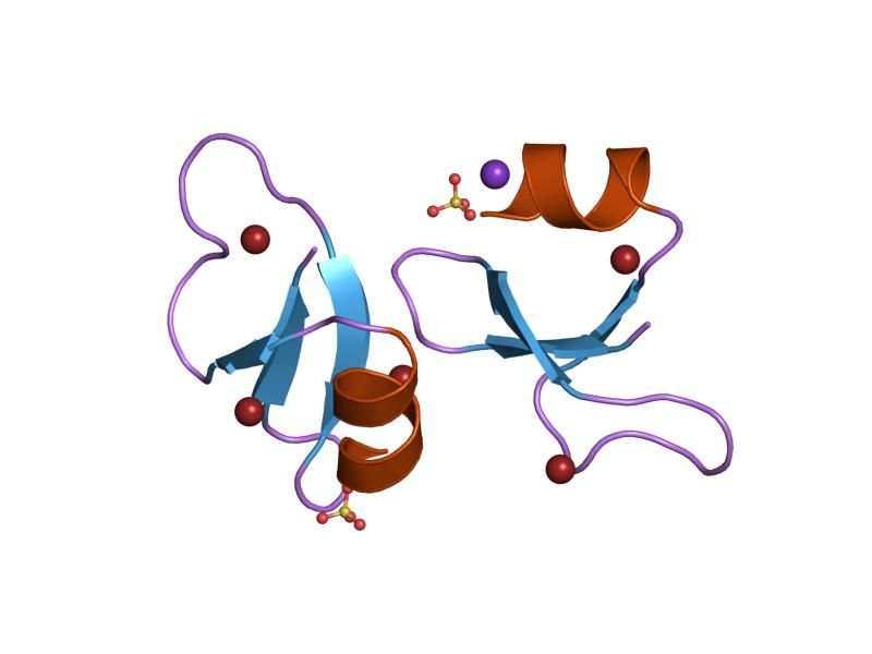 File:PDB 1ijv EBI.jpg