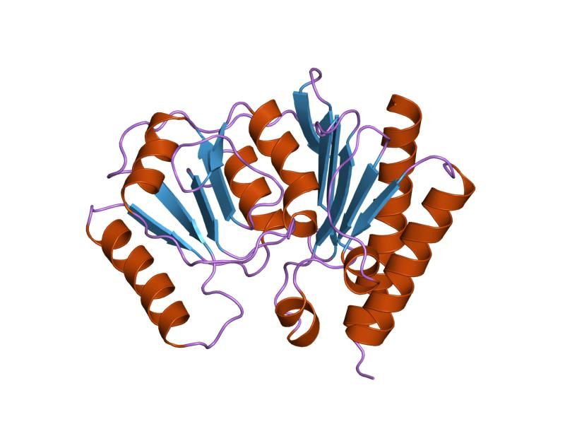 File:PDB 1imf EBI.jpg