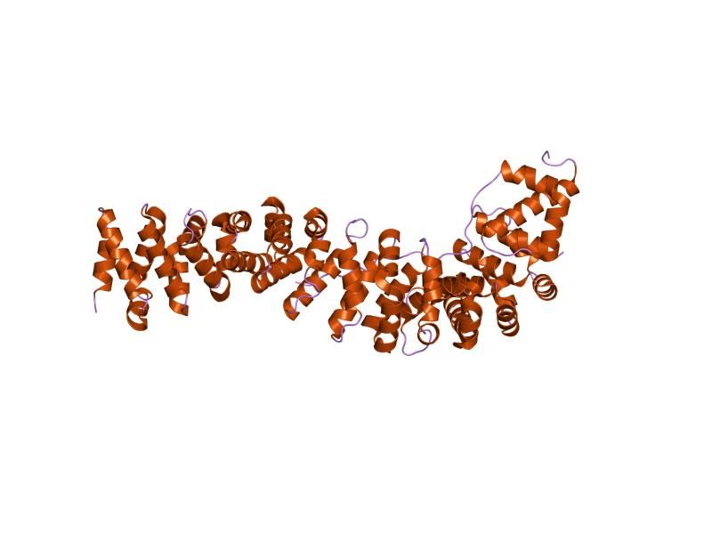 File:PDB 1luj EBI.jpg