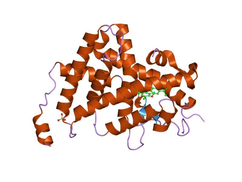 File:PDB 1nav EBI.jpg