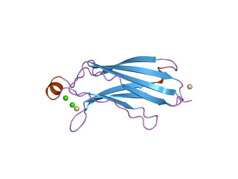 File:PDB 1rlw EBI.jpg