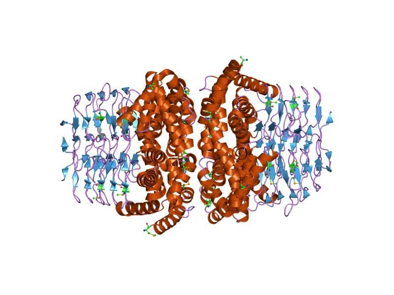 File:PDB 1ssm EBI.jpg