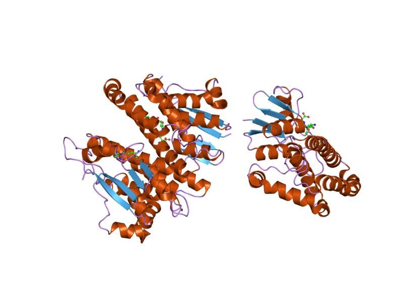 File:PDB 1xwk EBI.jpg