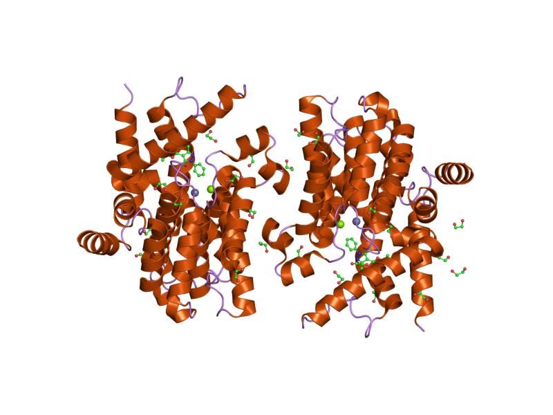 File:PDB 1y2c EBI.jpg