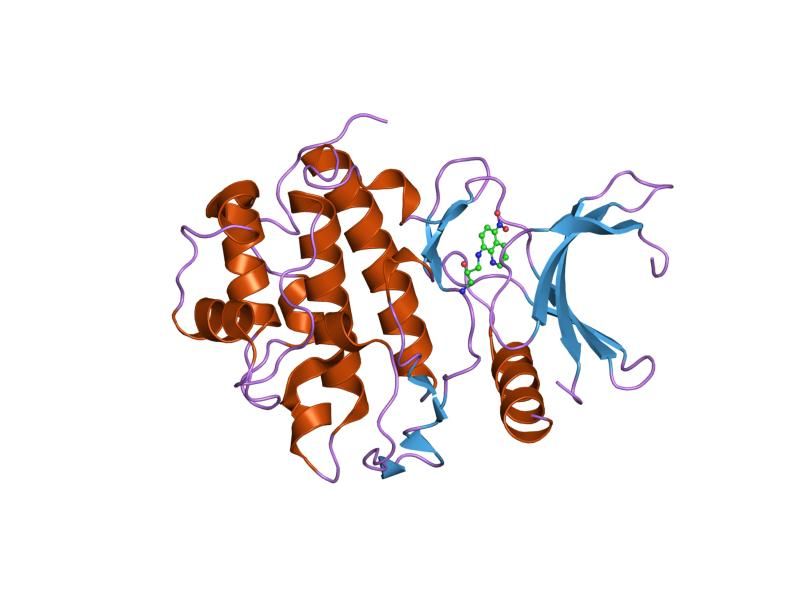 File:PDB 2cgv EBI.jpg