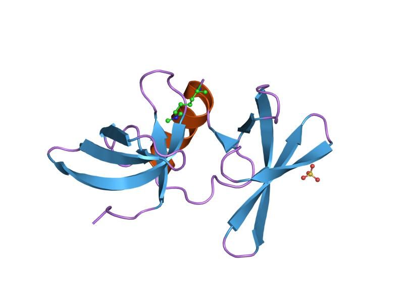 File:PDB 2ig0 EBI.jpg